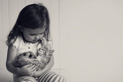 amcampbell84's tweet image. Remember it was animal welfare/legislation efforts that paved the way for child welfare efforts in America. Acknowledging overlapping risk of harm for children AND pets in domestically violent homes isn’t radical or novel, but rather a return to our roots. journals.sagepub.com/doi/full/10.11…