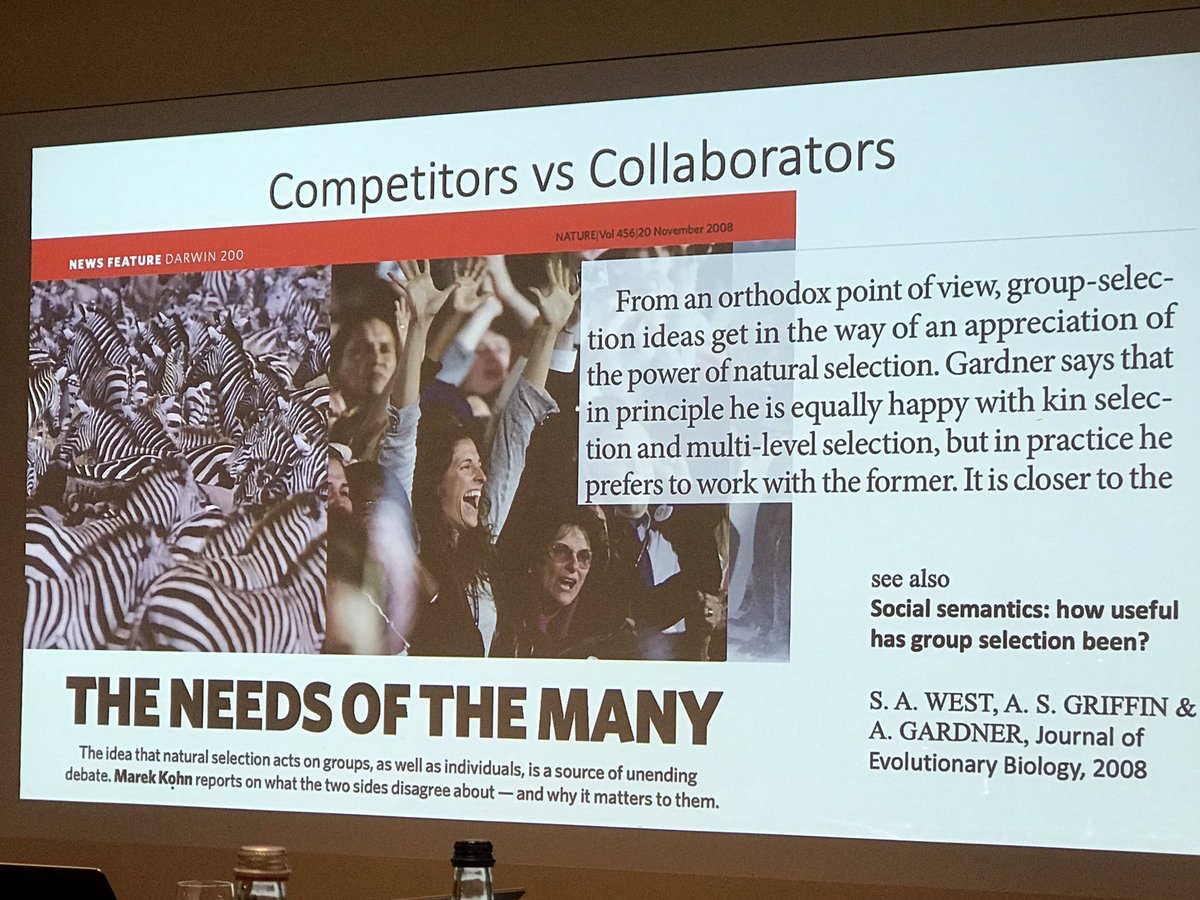 SusannaASansone's tweet image. More on the #socialengineering: @sanli presents the #knowledgecommons &amp;amp; why academic resources must be considered and looked after as common properties; but behaviour in academia often also looks like the one of a ‘drug gang’ (uh, interesting)  #BeilsteinOS2019