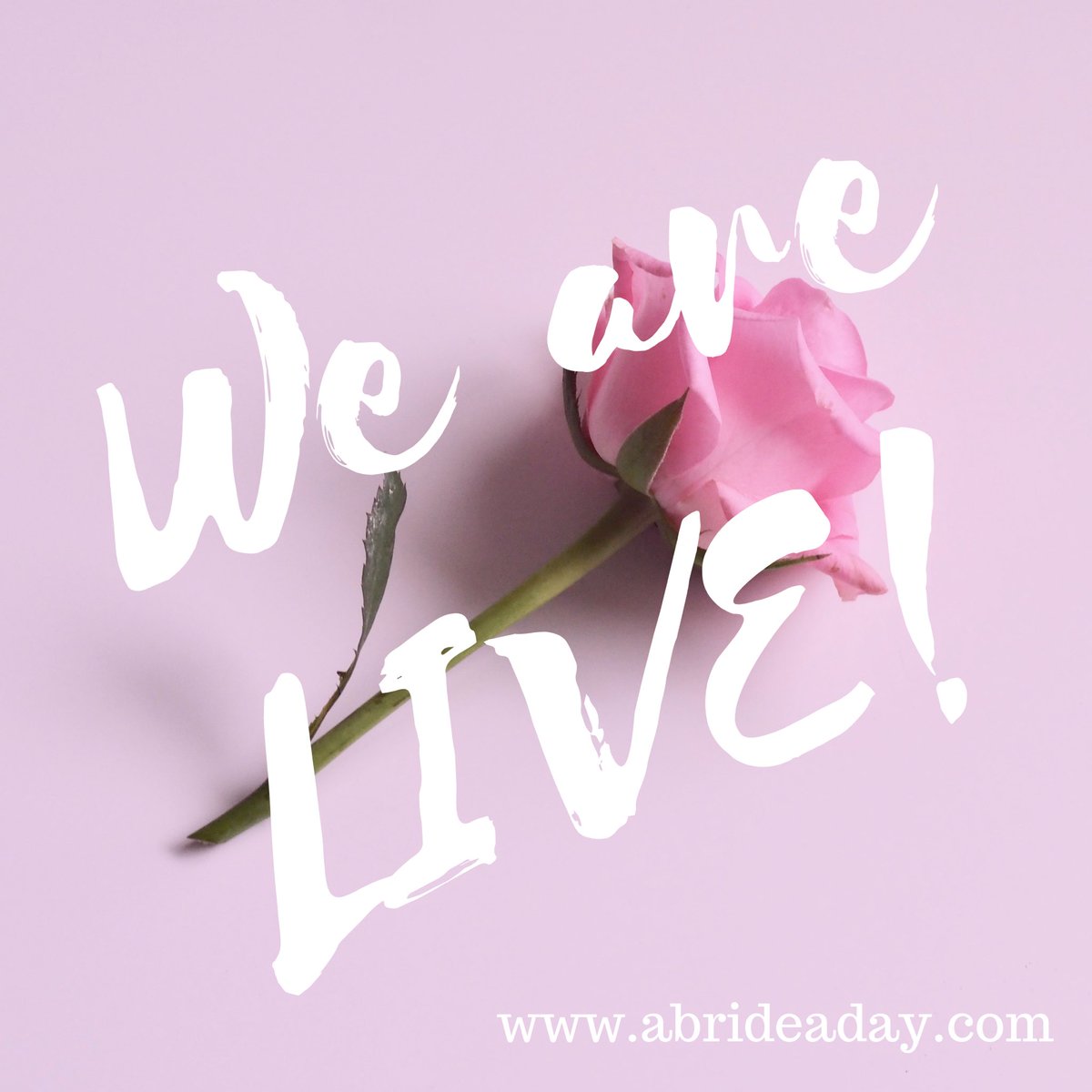abrideaday's tweet photo. We are live and officially open for bookings! Visit https://t.co/tZw4TujbS8 for more information on our Day-of-Wedding coordination services and different pricing packages. We cannot wait to hear from our Austin brides and grooms!🌷 #austinweddings #dayofweddingcoordinators https://t.co/XZkXEAcKlj