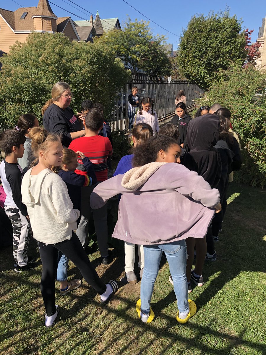 MrsCarroll__'s tweet photo. Students planting today with @megdcarson ! π± #WeeLearn #WeeGrow #BeKind @SuzanneMera https://t.co/MhScRjqOMm