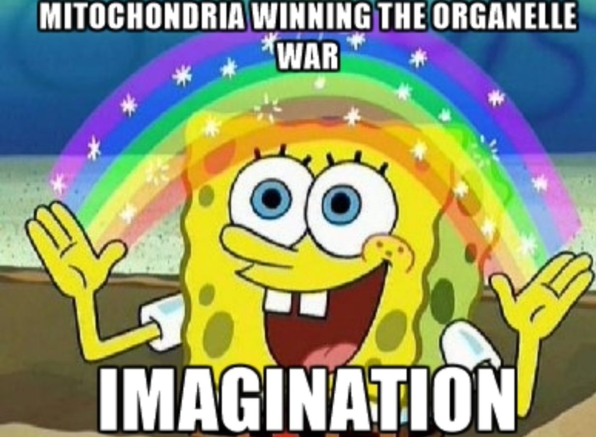 CellmemS's tweet photo. @Bio2019Frazee @ChondriaMacho #organellewars https://t.co/4uSim9zLov