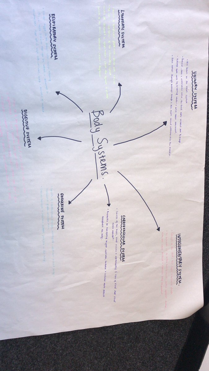 #biogrp3 #PUNC19 <a href="/PUNC14/">Punc</a> first day of the biology module learning about systems in the body ✍🏻👤👩🏼‍⚕️