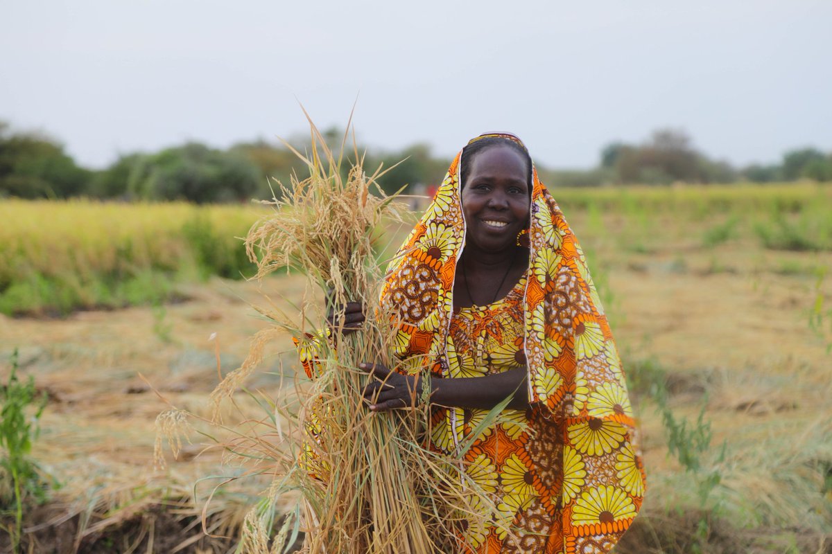 In Cameroon, #ruralwomen are at the forefront of food security and produce 90% of the food consumed by their households.

WFP through its resilience programs supports these women, providing technical assistance to scale up production. #InternationalDayofRuralWomen