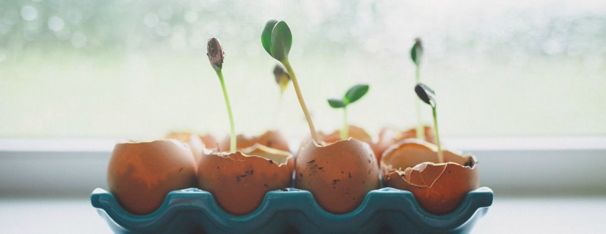 TechNType tweet media