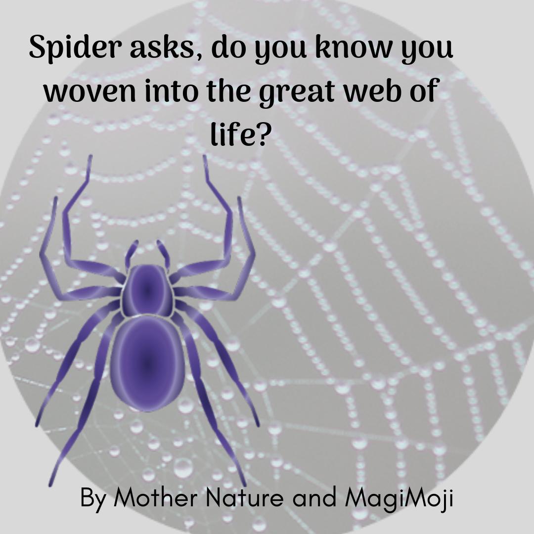 Afraid of spiders or the web? Consider the message Spider brings with it , "what is woven in your life web?" 
Hello dear friends, we are delighted to be posting once again on social media after a sweet little summer break. The fall is looking amazingly beautiful in New England!
