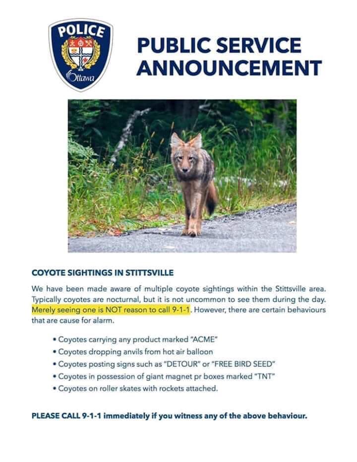 OttawaPolice's tweet photo. Although we encourage folks to be cautious around coyotes, especially ones posting signs, this is NOT an official @ottawapolice public service announcement. https://t.co/9DFoIW8BqL