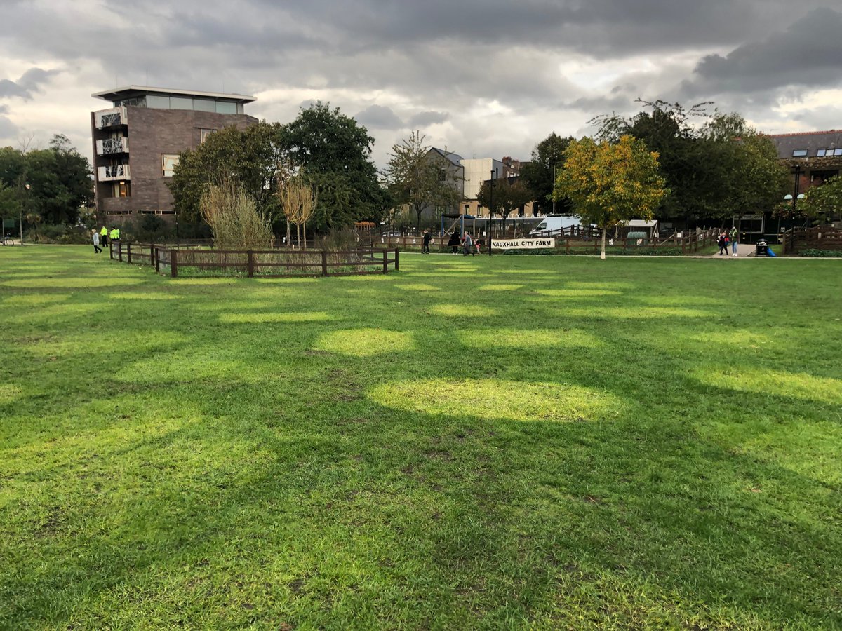 XR have been made to leave the <a href="/VauxhallGardens/">VauxhallGardens</a> .
A bit patchy but not a speck of rubbish. I wish all our visitors would do the same and put the rubbish in the bins