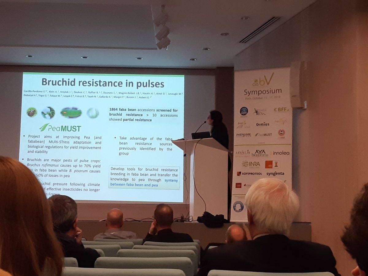 PeaMUST's tweet photo. E. Carrillo-Perdomo, jeune chercheuse de #PeaMUST présente les avancées du projet sur la résistance à la bruche au symposium inter-PIA organisé par le #GISBV @gisbiotechverte https://t.co/rGq1uPuToQ