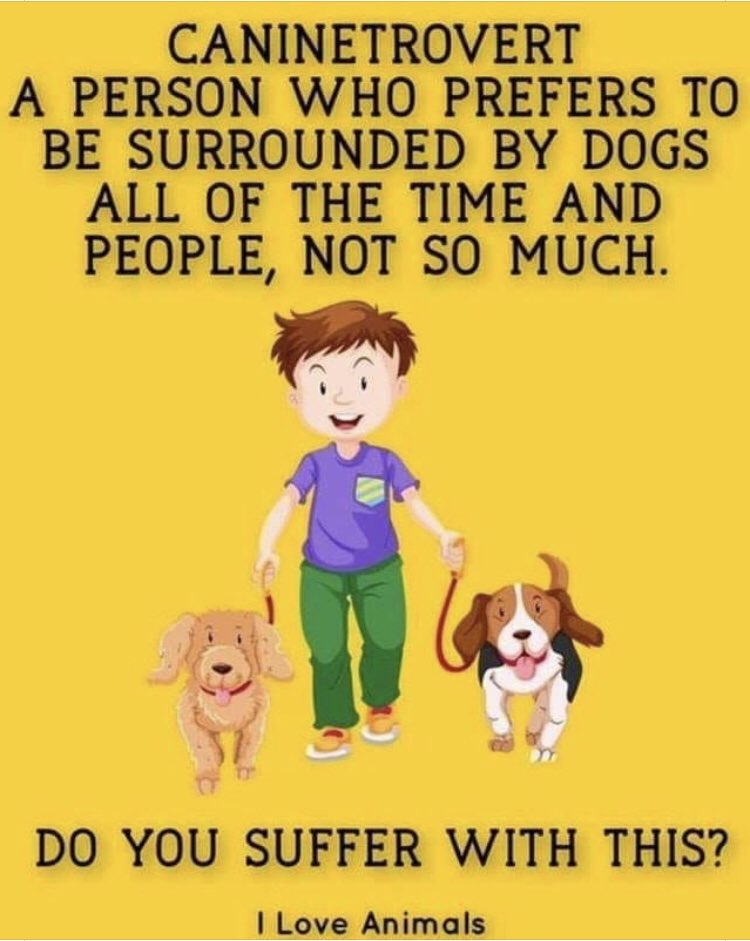 Anybody else have a similar diagnosis? Guilty as charged!!! 🐶🤣 #ilovedogs #dogs ❤️