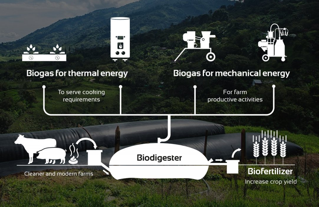 wef's tweet photo. This company is turning farm waste into biofuel and biofertilizer @sistema_bio https://t.co/5pav15I1xf #sdi19 #sustainableworld https://t.co/4FtnMy4eEd
