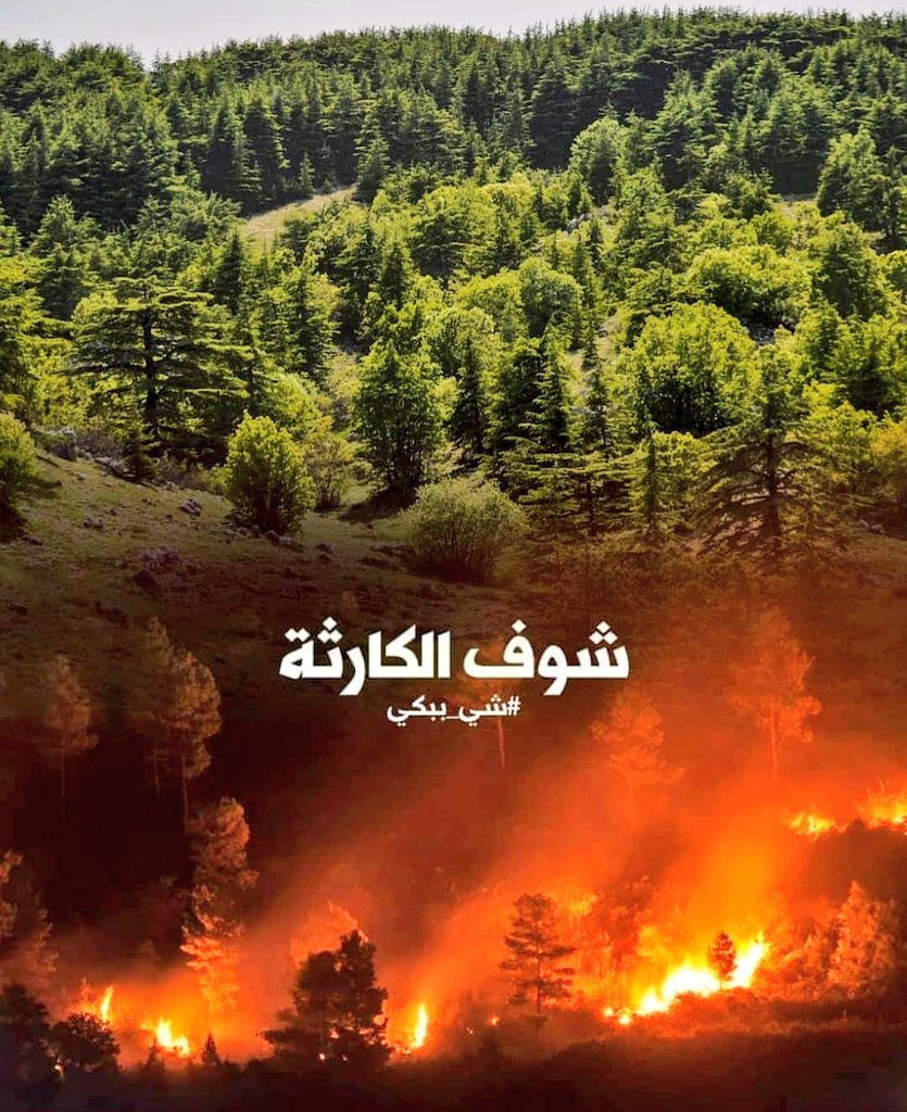 JoeyRawass1's tweet photo. My heart is absolutely broken. I cannot describe the sadness I feel looking at what has happened. And I certainly cannot describe the anger I feel towards our 'government'. No words. My beautiful Lebanon 💔 https://t.co/1iQH02eFfY