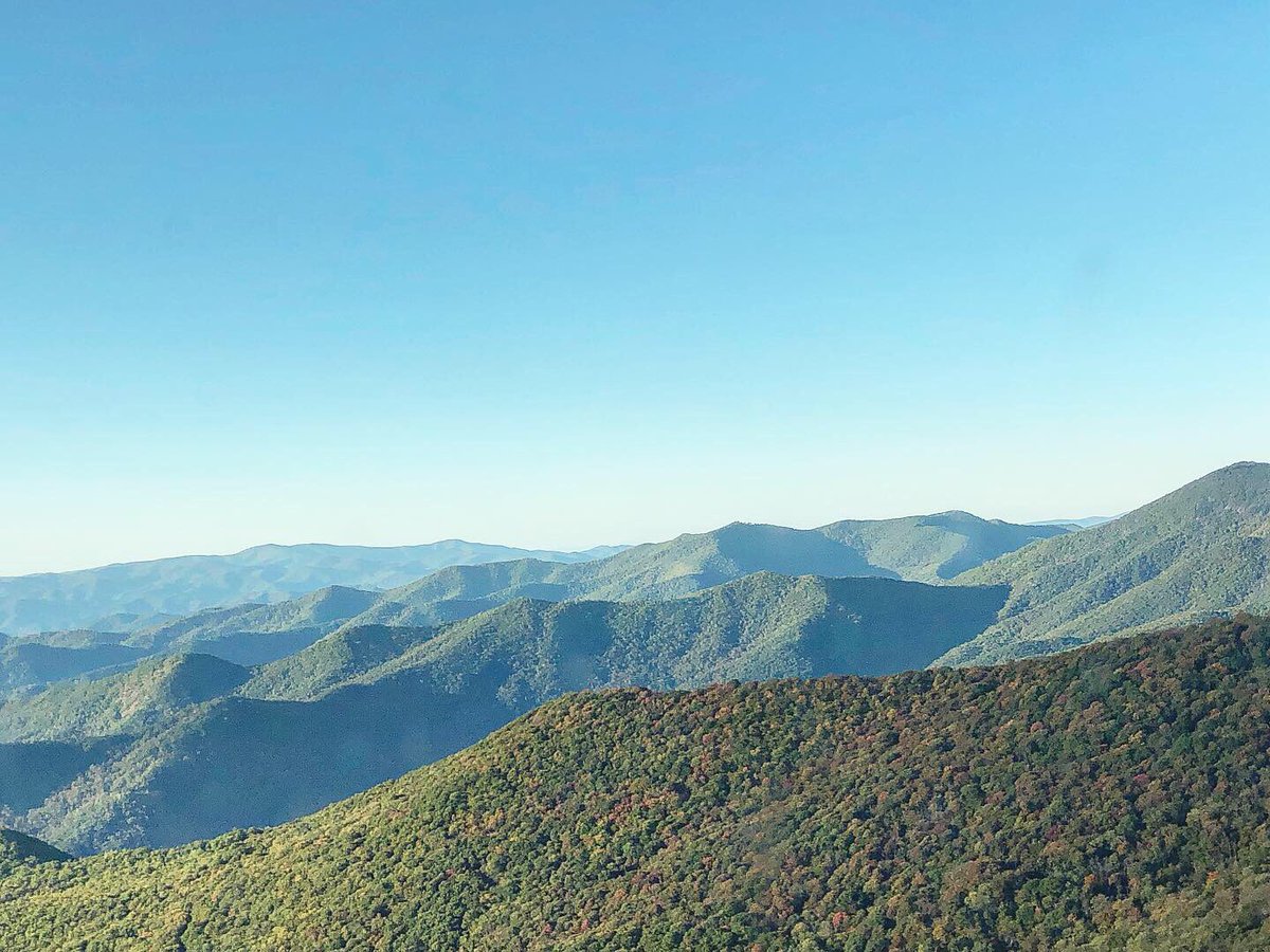 alliecattt13's tweet photo. Leaves are slowing starting to change colors! πππ
#leaves #fall #mountains #mountmitchell #nc #ncmountains #hiking #nature #naturephotography #naturephotography #alliesgatorphotography #statepark #mountmitchellstatepark https://t.co/ZuuvCWcSTk
