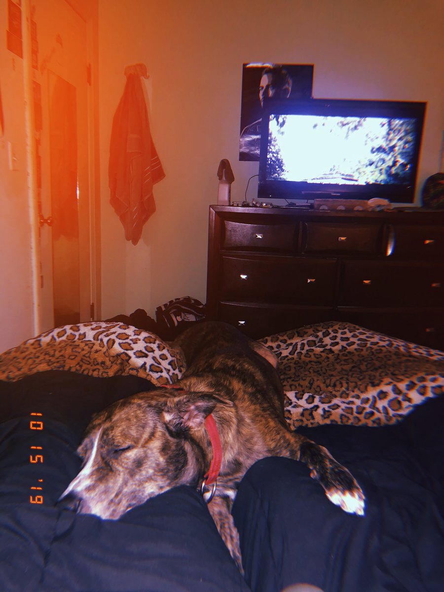 HeitBrittany's tweet photo. He’s living his best life. https://t.co/Qr1m86KwUX