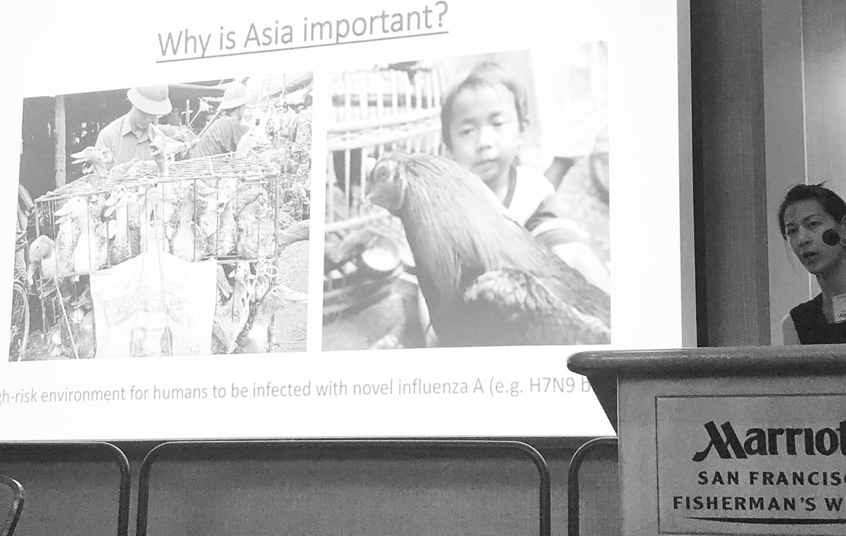 PCH_SF's tweet image. “Superior doctors prevent the disease”-@UCSF @UW @aboutKP cohost 8th joint conference on #AsianHealth #disparities, packed audience in tow. Not your #modelminority. #socialjustice #MedEd