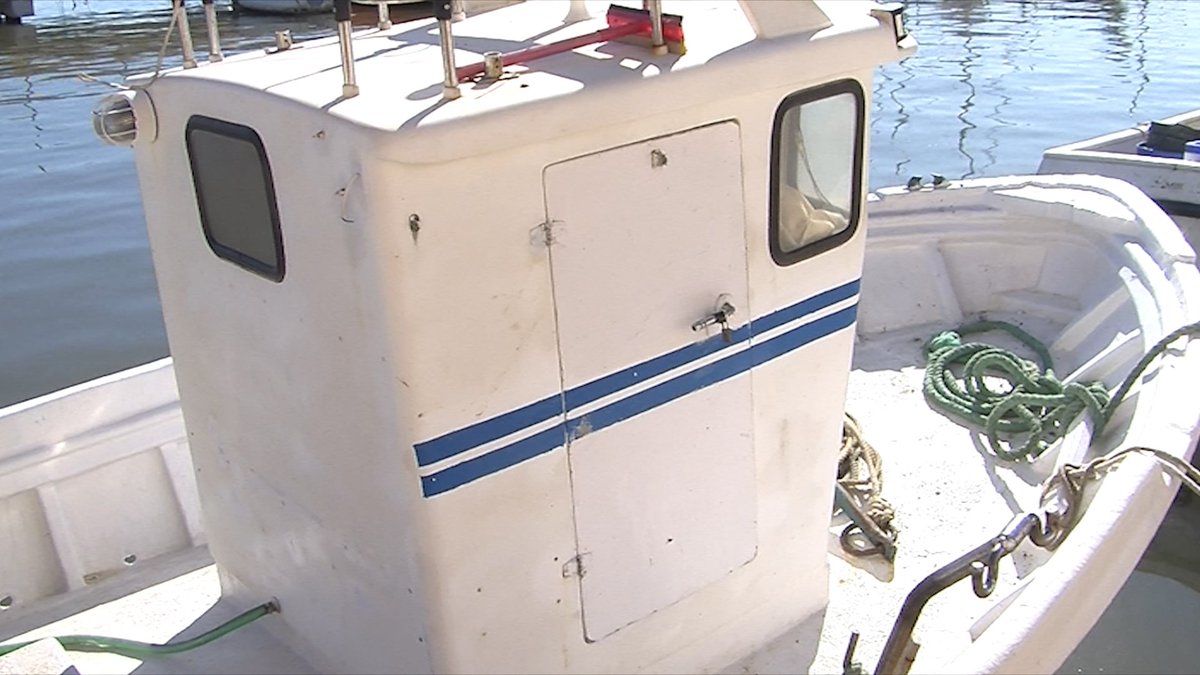 🖨▶️ Desde la Cofradía de Pescadores de San Pedro del Pinatar aseguran que el mercado “está muerto”, situación que afecta a 150 familias que dependen de este medio, por ello tienen abierta una investigación para esclarecer los motivos de este episodio. 22.00h Canal 1 Mar Menor-TP