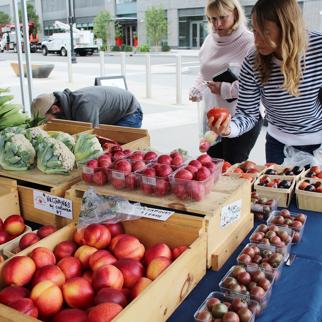 Farmers wanted! 👩‍🌾👨‍🌾 We’re now recruiting farms for our 2020 Farmers Market at <a href="/boston_landing/">Boston Landing</a>. Market runs 11:00 a.m. - 2:00 p.m. from June until September. Interested? Email rachael@lolagraceevents.com for details. Help us spread the word!
