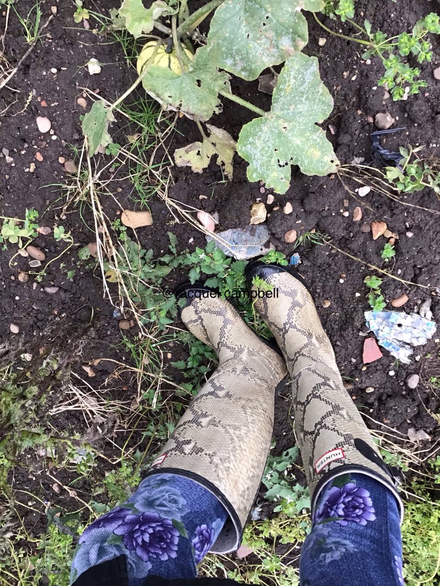 campbellgurl's tweet photo. In my #hunterwellies earlier #NaturePhotography #nature #countryfile #countrylife #countrylifestyle #countryliving 🍂🍃🍁🌱🍃🍂🍄 https://t.co/rfdmnI3PRp