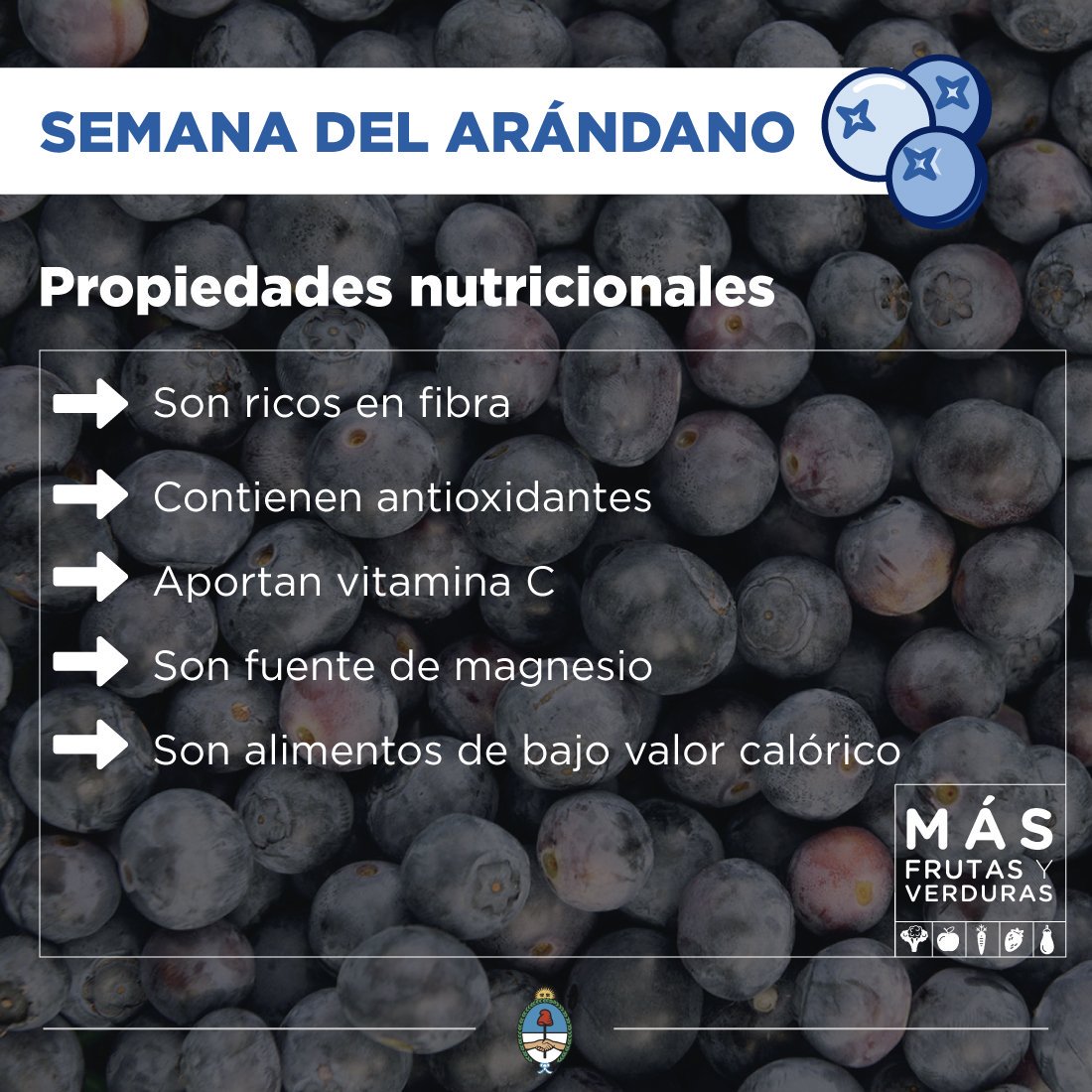 En la #SemanaDelArándano te contamos 5 razones para consumir este pequeño fruto con grandes propiedades. #MejorconArándanos #MásFrutasyVerduras