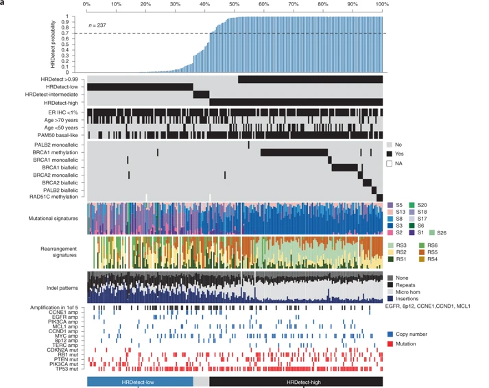 NatureMedicine's tweet photo. Whole-genome sequencing in triple-negative #breastcancer supports the prognostic value of the HRDetect algorithm for improving patient stratification in a real-world clinical diagnostic setting #NMEDClinical #BreastCancerAwarenessMonth @SerenaNikZainal | https://t.co/RJ5Che1Ice https://t.co/1lmgMpzeS7