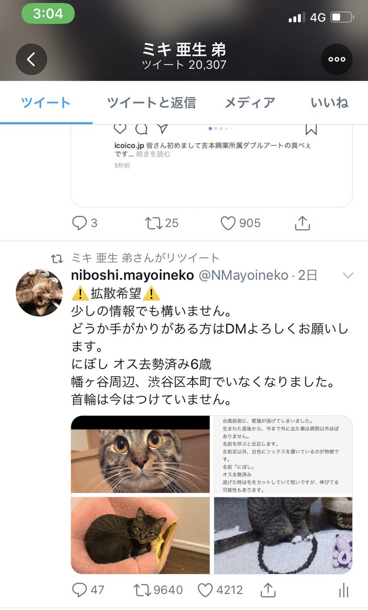 niboshi.mayoineko tweet media