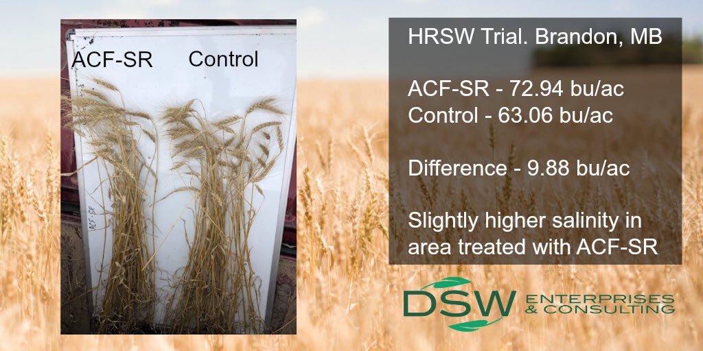 AdvancedAgTech's tweet photo. Nice 3rd party trial work here on wheat. We are playing the waiting game on some of our other trial sites.🤞 for no moisture in the next couple of weeks. https://t.co/NLLUMedpkY