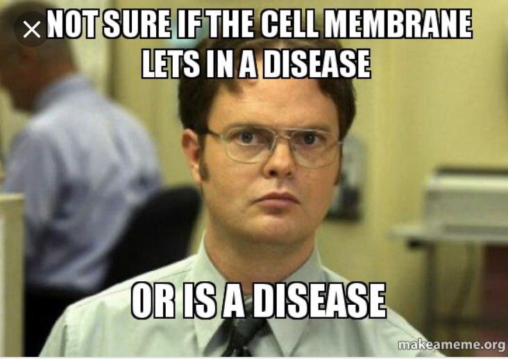 NiftyNucleus2's tweet photo. #organellewars https://t.co/SQik3t6mDN