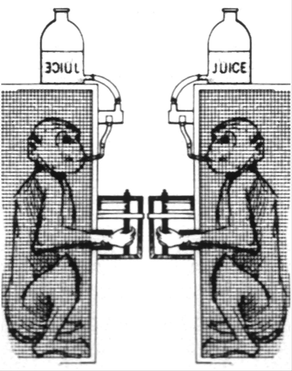 NoContextFigs's tweet photo. Gotta blame it on my Juice, Baby @lizzo #nocontextfigures #yayaee #monkeyslovejuice #lizzo #lizwarren #juice #juicycouture #sciencememes #sciart #scicomm #academia #AcademicTwitter #sciencetwitter #phdlife #brownuniversity #thankstheresa
π₯€π
Thanks @DesrochersLab https://t.co/Ykr5KnB8pe