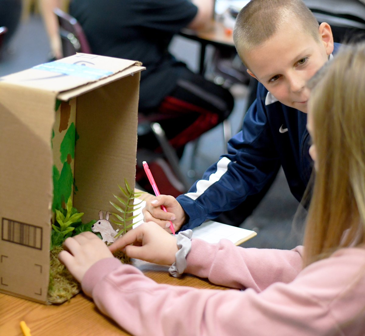 SchDistofMilton's tweet photo. Sixth graders in Mrs. Nelson's class at @NISMilton showcased their ecosystem projects to their classmates today! #MiltonPride https://t.co/sQEAeNDto0
