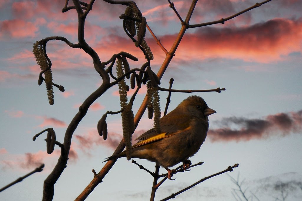 Today is the final day for the Early Bird CBLD Special! Has your co-op signed up for CBLD yet? Contact us today to get your 10% discount off the CBLD Flagship program. Contact Thane Joyal at CBLD_enrollment@columinate.coop to register today.