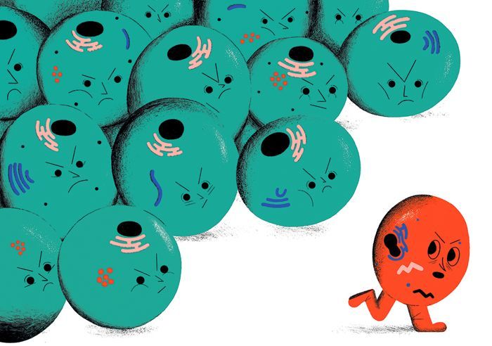 In order to fight aging researchers "are looking at how cells evict, kill or cannibalize less-fit rivals."

nature.com/articles/d4158…
