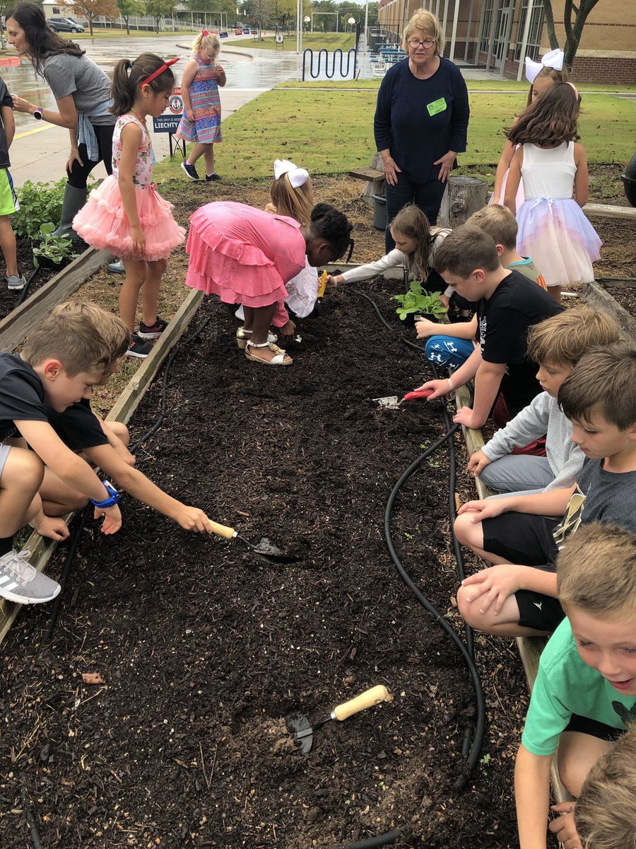 JGraham100's tweet photo. We love working in the garden. Today we added 90 worms and planted! #weareaphe #rockwallelemsci https://t.co/OKjQsr5xQ2
