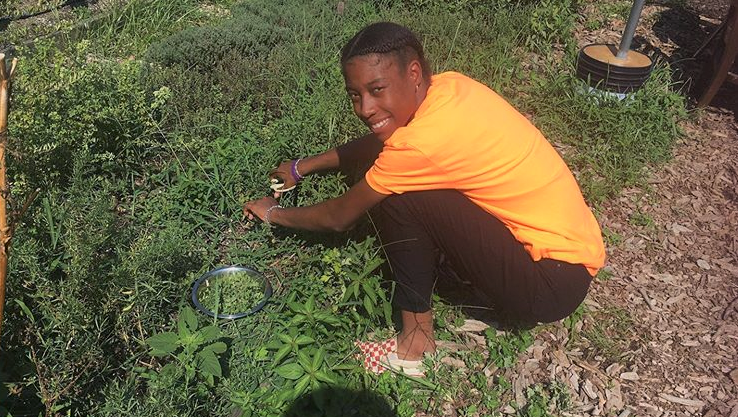thehumanroot's tweet photo. Picking herbs for healing at Kingsborough Community College Farm @kccurbanfarm with @CIAVC_ 

#teachersmatter
#socialjustice #youthdevelopment
#studentsmatters
#educationispower #supportschools
#nonprofitorganization #blackteachersmatter
#thehumanroot https://t.co/b450pWR7Yr
