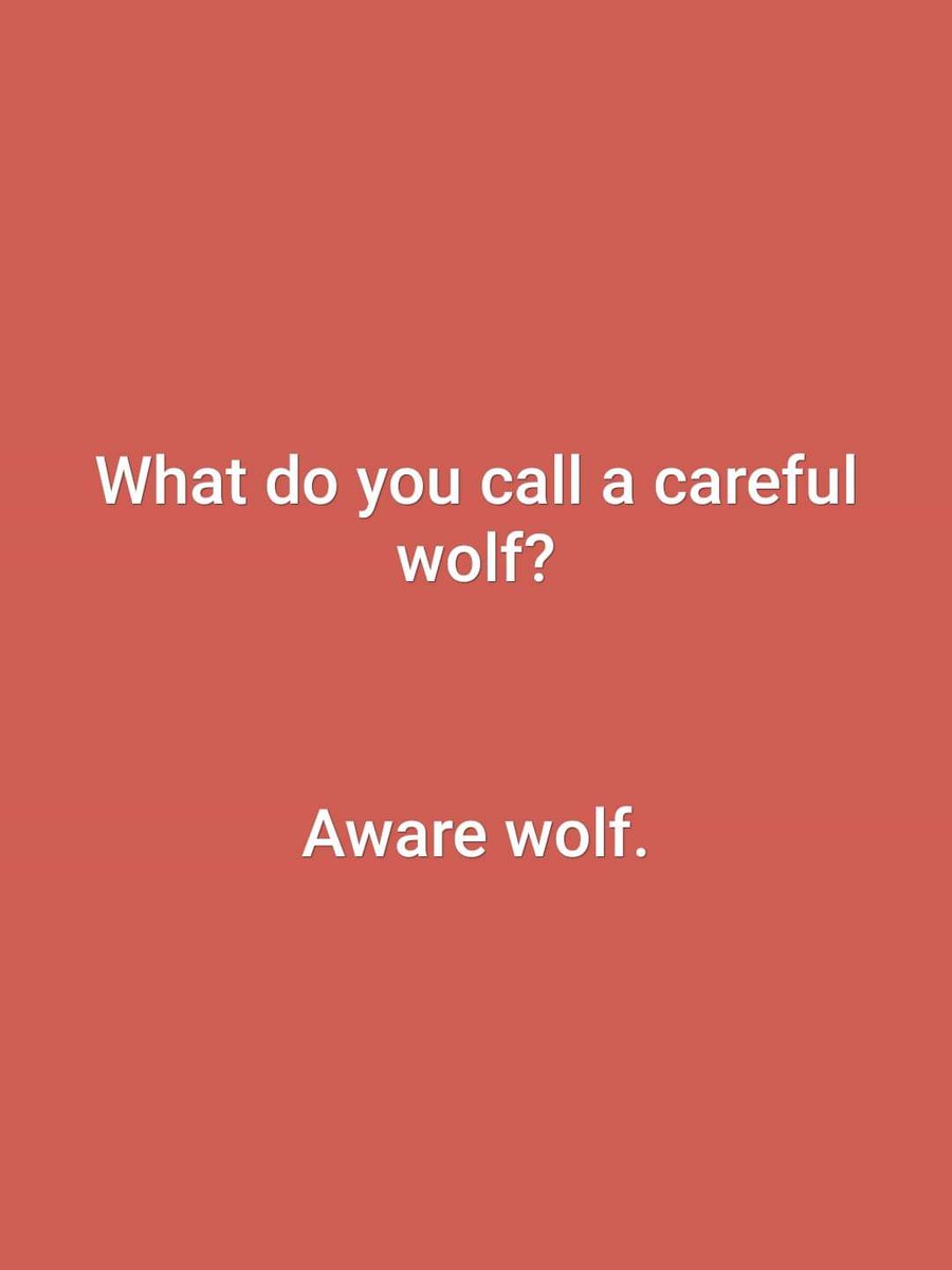 bester_natasha's tweet photo. #toofunny https://t.co/s7yqF1w9Jm