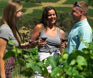 Calling all wine lovers! This is the tour for you...🍷 

bit.ly/2Mmc1hu