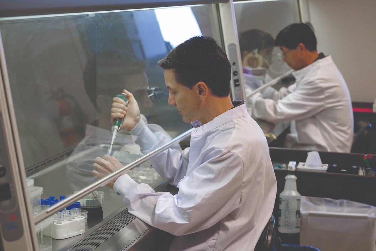 IALR's tweet photo. This #BiotechnologyMonth, check out our researchers' work with plant #endophytes (beneficial bacteria) to reduce chemical fertilizer use, improve soil quality and increase crop yields and plant health. https://t.co/PJtYuUBHKg #sustainableagriculture #researchtransforms https://t.co/vdP3sII58a