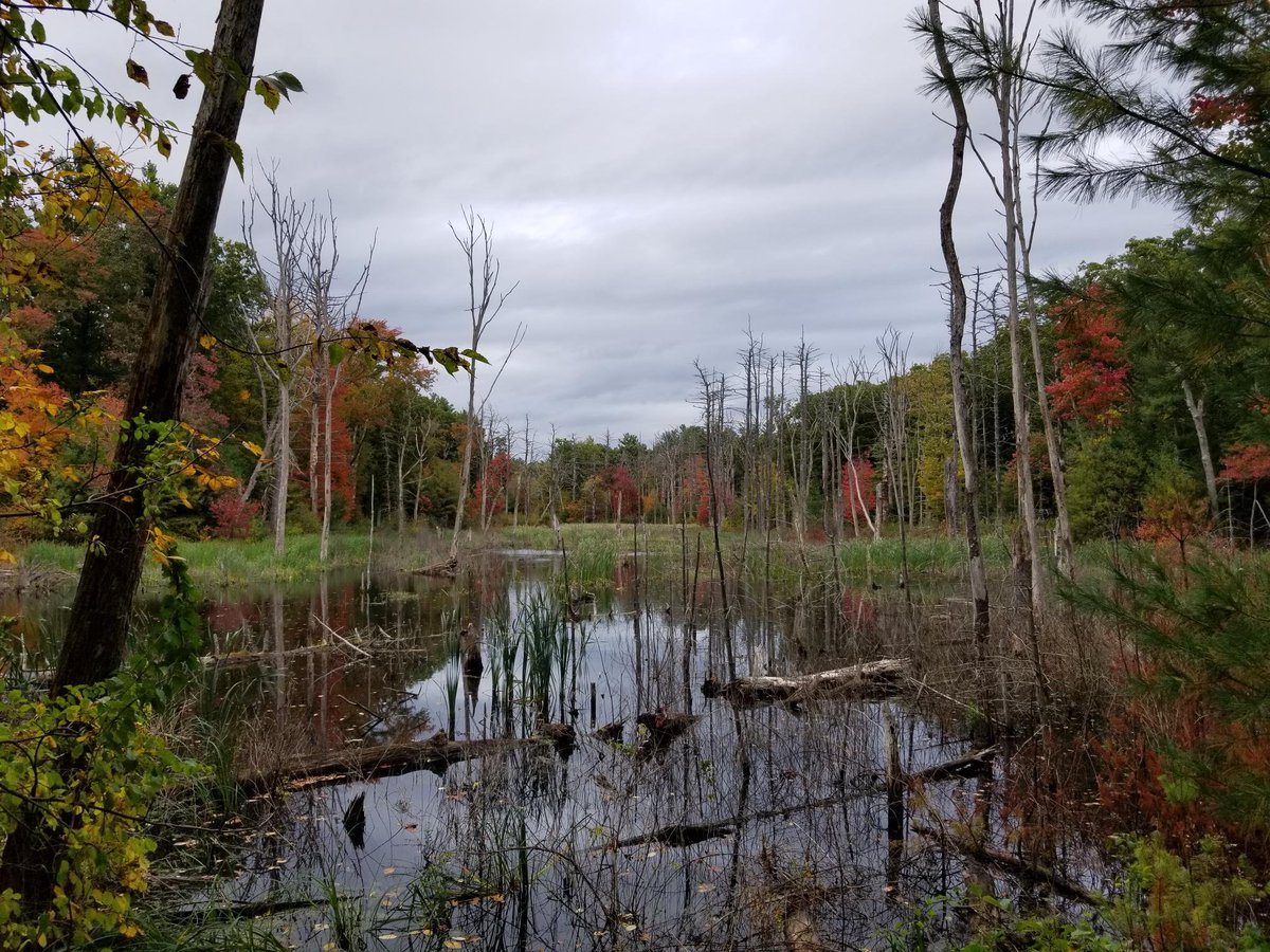 Falling back into the weekly routine.