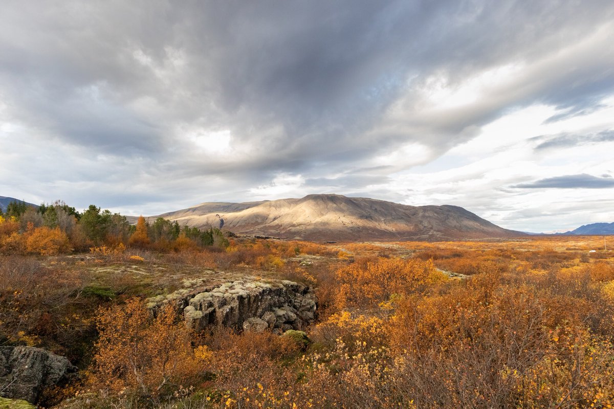 운명적으로 내가 가야 할 곳은 눈을 감고 마음의 눈으로 바라보면 뚜렷하게 보인다. 어두움 속에서 가장 선명하게 빛나는 곳이 내가 가야 하는 곳이다.
