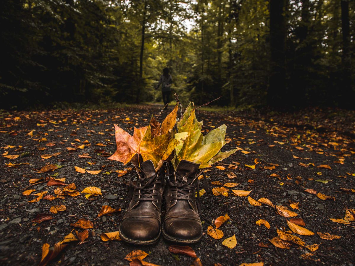 Bien Voyager tweet media