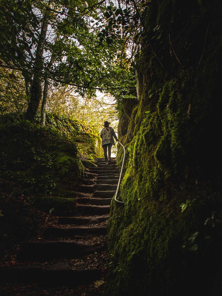 Bien Voyager tweet media