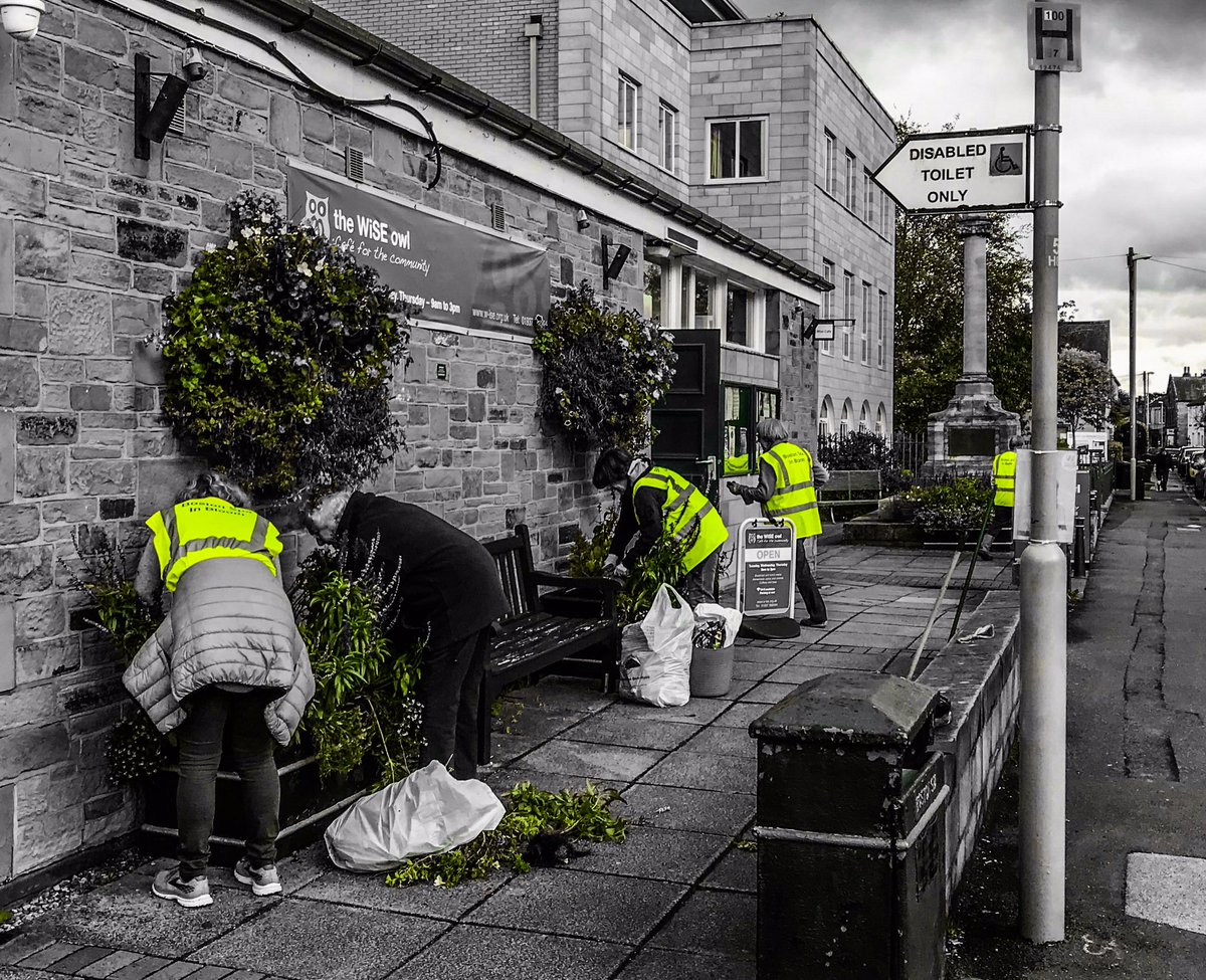 Boston Spa in Bloom tweet media