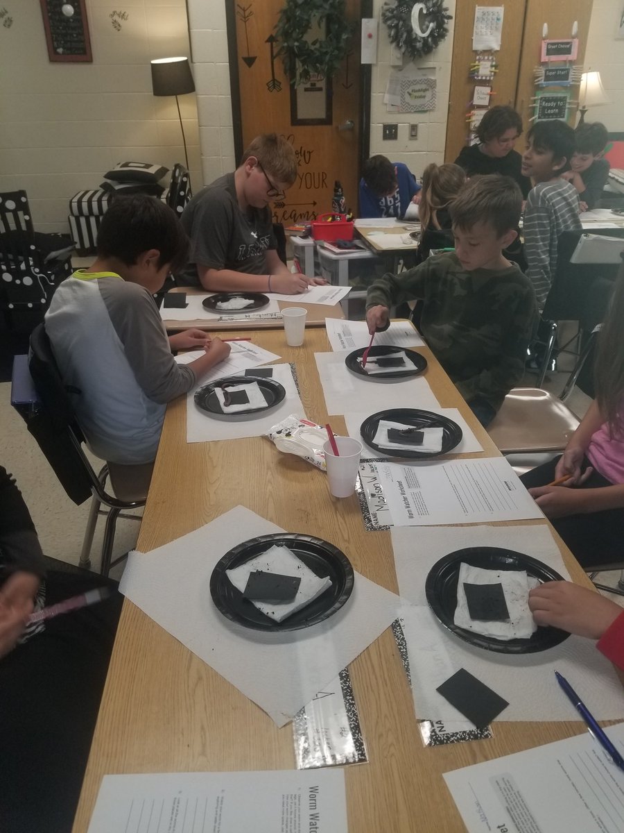 Heather Coco tweet media