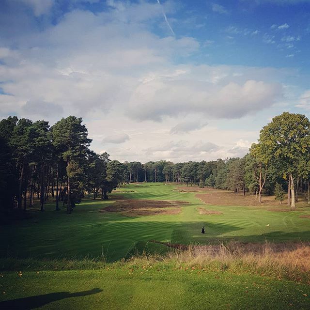 Graham Down tweet media