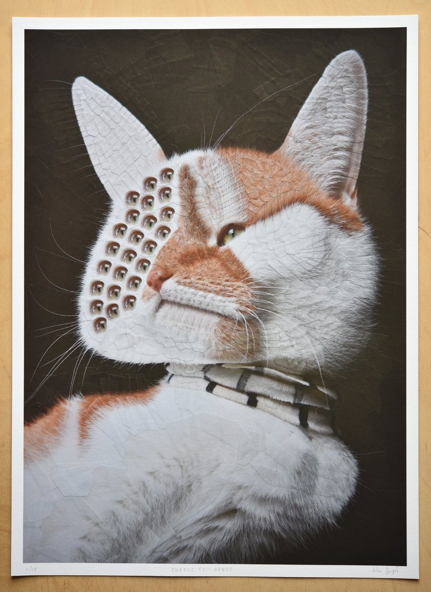 loladupre's tweet photo. Heads up, I am giving away a print on my instagram https://t.co/IDVWSwOYA2 
✨✨🐱🐴🐶✨✨ https://t.co/MgVp1evNSL
