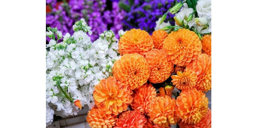 californiaflowermall tweet media