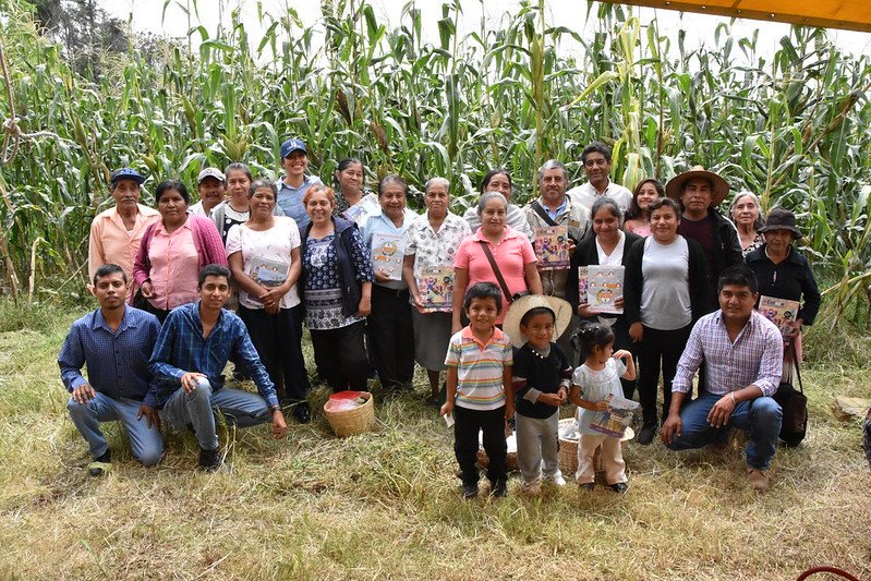 ACCIMMYT's tweet photo. CIMMYT imparte talleres para que las mujeres se apropien de innovaciones agrícolas que les ayuden a mejorar el rendimiento de sus parcelas. Ellas luchan todos los días por la seguridad alimentaria de sus familias. 
#MujeresRurales 
#MujerRural https://t.co/RH3uxspTc3