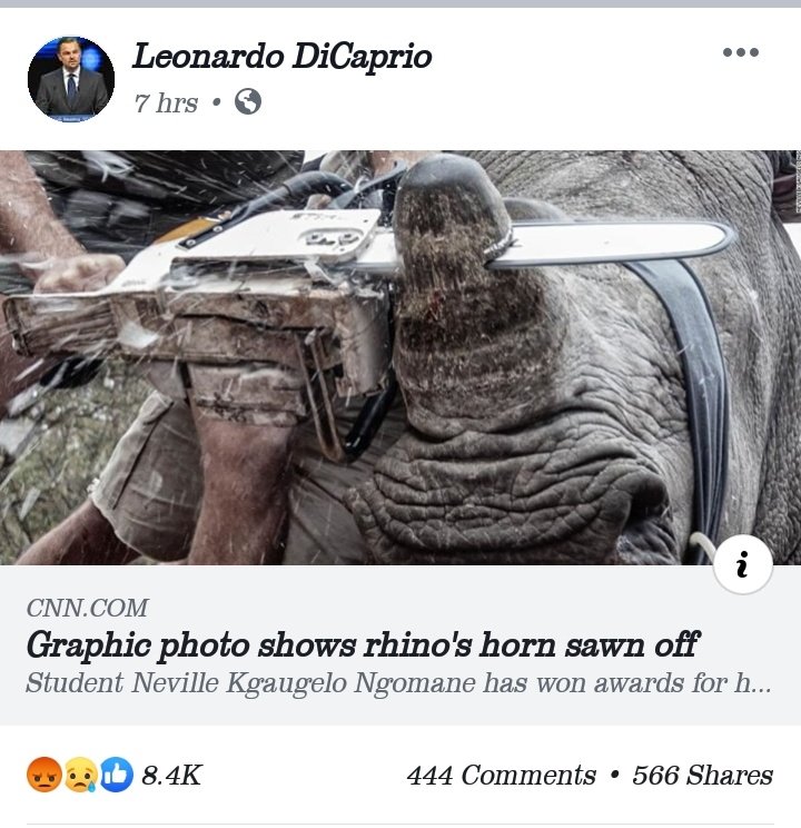 Kgaugelo Neville Ngomane tweet media