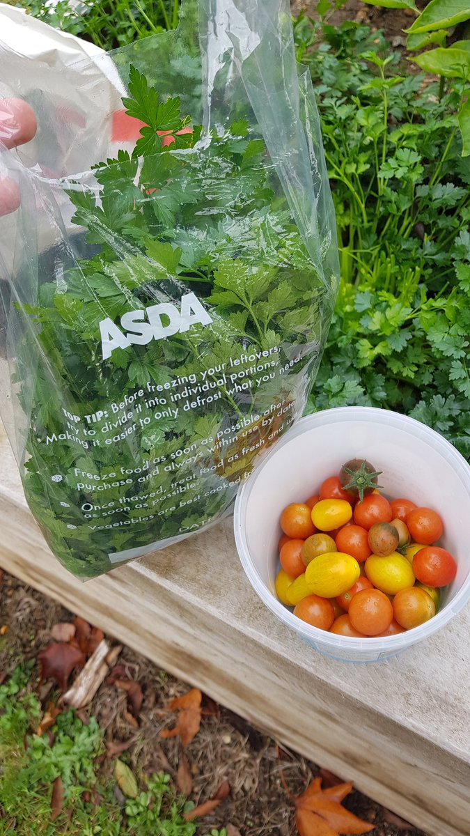GrownAtTheGrove's tweet photo. With the rain stopping I got a chance to go and do some 'work gardening' today. We (garden club) have 3 raised beds and more to plant up. This season the beds are full of tom plants, a cucumber and odd and sods from people gardens. Already planning next years plants. #growatwork https://t.co/KEsO3tlawP