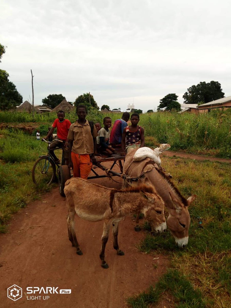 LiberiaAnimal's tweet photo. We are helping to improve the health and welfare of working cows and donkeys in Guinea and need your support. Visit and donate at https://t.co/r6A9R1DB7q
#WorkingAnimalsMatter #AnimalsMatter #Animals #StopAnimalAbuse #HelpAnimals #People #PeaceBuilding #Donkeys #WorkingCows https://t.co/TTHH2CH30y