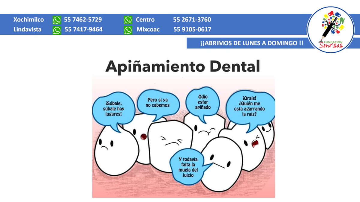 cdmilsonrisas's tweet photo. Tenemos el mejor plan de tratamiento para ti ¡Acude a una cita de valoración gratuita!  ¡Te esperamos de lunes a domingo!
#sonreirnocuestanada
#dentista
#clinicadental https://t.co/IrTaZoV6Cl