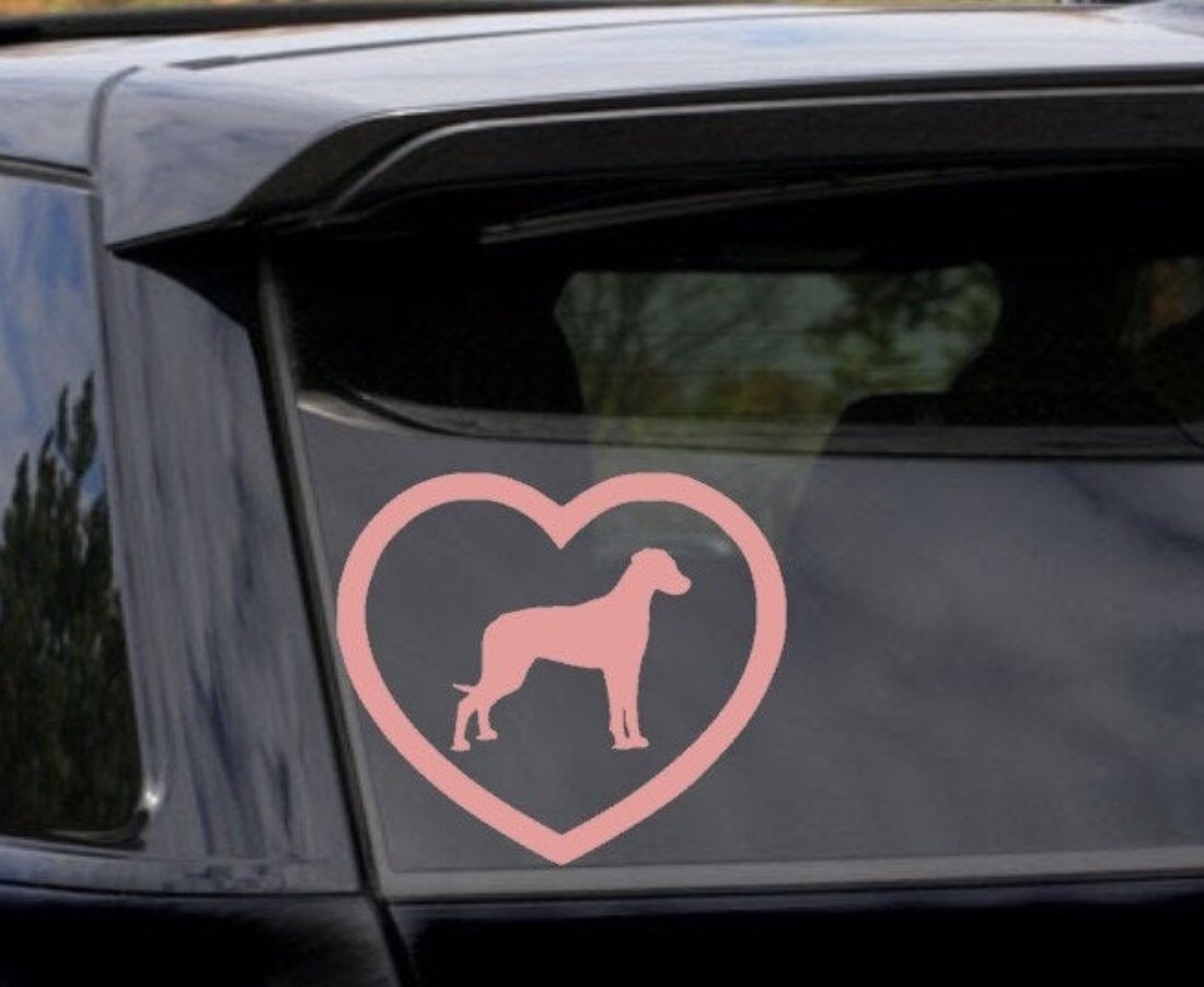 ThatHuskyMom1's tweet photo. Rhodesian Ridgeback the Renaissance Hound 🐕
#rhodesianridgeback #rhodes #rhodesianridgebackpuppy #rhodesian_ridgeback #rhodesianlove #rhodesianridgebacks #rhodesianridgebacklove #dogdecal #thathuskymom #linkinbio https://t.co/8Hr74MiWyx
